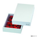 【50点】ギフト箱 LTO-28FS パール28 FS ヤマニパッケージ 00731927