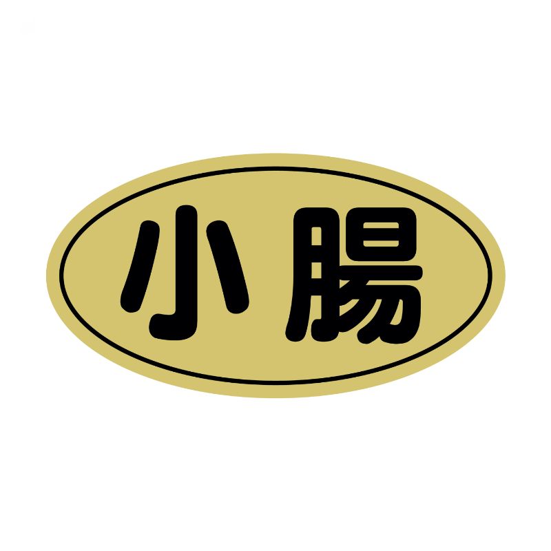 1000SM٥N-9874(Ĳĥ) ҥ湩 00733716