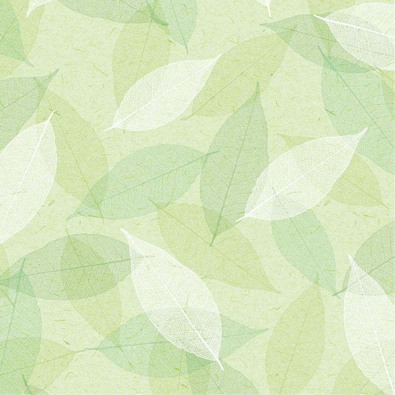 【1袋】ギフト資材 49-1540 包装紙 シアーリーフ 半才判 50枚入 ササガワ 00645366