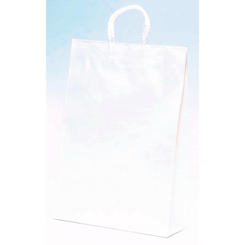 【200枚】紙手提袋 ST2才 白無地 パックタケヤマ 00647095