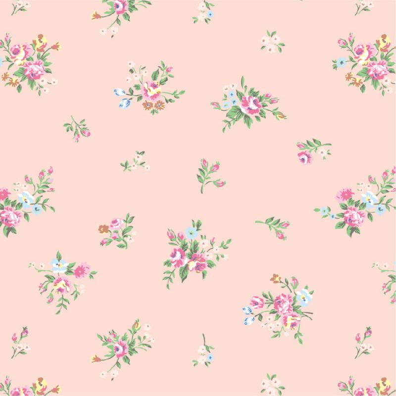 1ޡۥեȻ 49-1501  ǥ ȾȽ 50  00778017