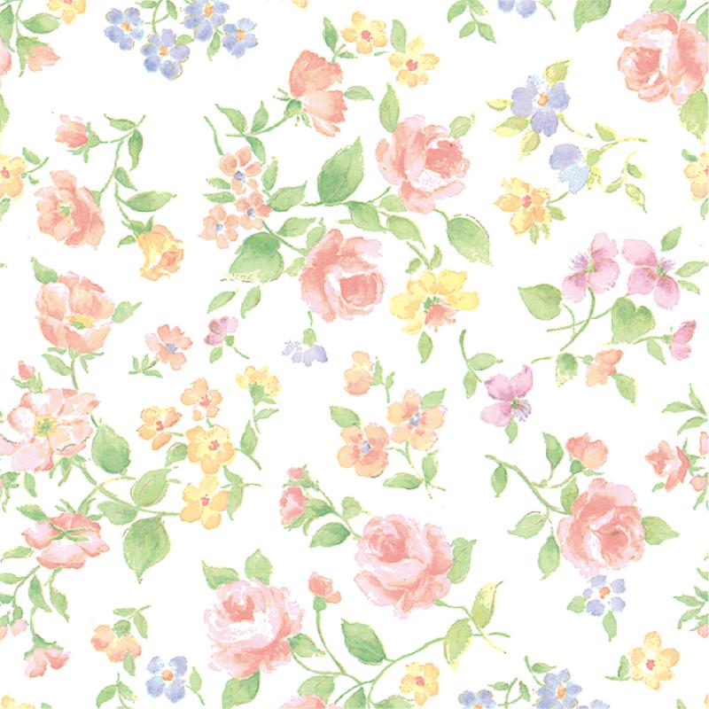 ��1�ޡۥ��եȻ�� 49-1560 ������ ���ޥͥ��� Ⱦ��Ƚ 50���� �������� 00778026