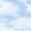 【1袋】ギフト資材 49-1812 包装紙 クラウド ブルー 半才判 50枚入 ササガワ 00778040