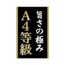 【200枚】ラベル SP-482 A4等級 朋JSP 00610663(3)