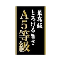 【200枚】ラベル SP-483 A5等級 朋JSP 00784148