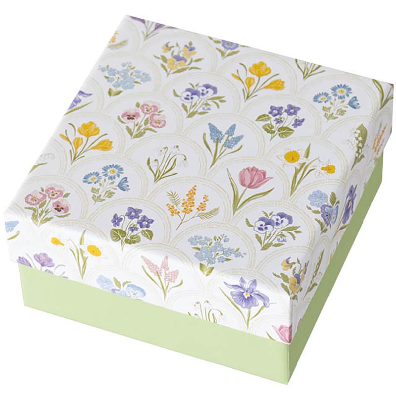 ��1�ȡ�£��Ȣ RAF-HB2 ��ե���ŽȢ-2(6��) �إå� 00787827