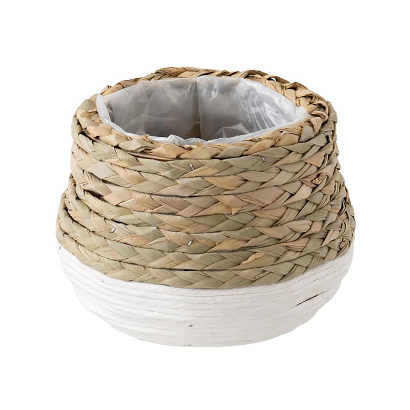 ��1�ȡ�£��Ȣ KGT-WCMB ��������ġ��ȡ���Х����åȥۥ磻��-M(2��) �إå� 00787873