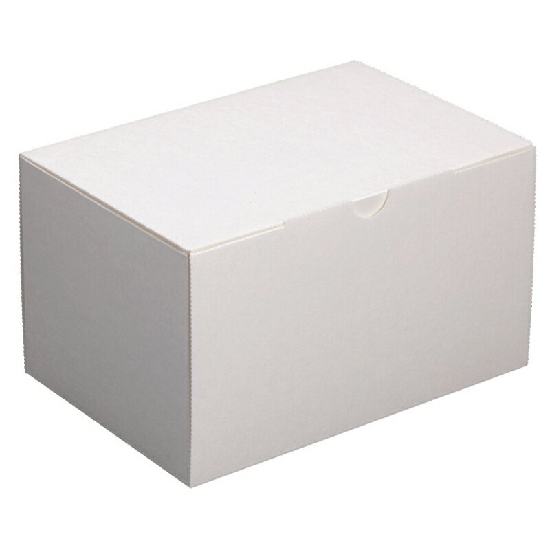 ��300���ۥ�����Ȣ ��������105��7 ��ޥ˥ѥå����� 00801251