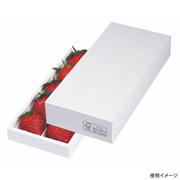 【100点】ギフト箱 L-2401FS パールアソート10FS ※FSC認証品・仕切除く ヤマニパッケージ 00822759