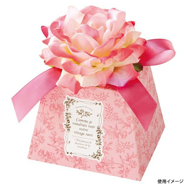 ��1���ۥ������ȥ졼 ZTP-GM ¤���եե쥰���ȥե����ե�BOX/�ԥ�-M 10�� �إå� 00822786