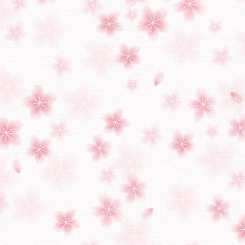 【1点】ギフト資材 49-1510 包装紙 和ごころ桜 半才判 50枚入 ササガワ 00822945