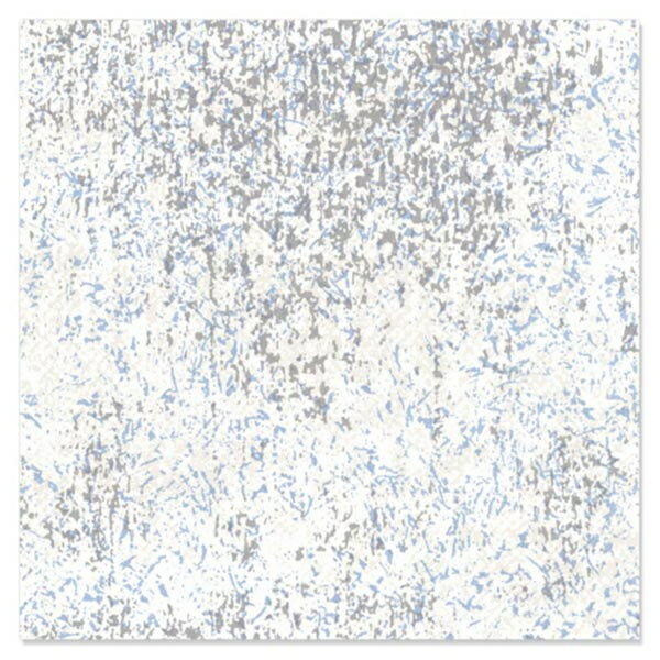 500 FDå Ӥ  FD-21SI ޥ륢 00822995