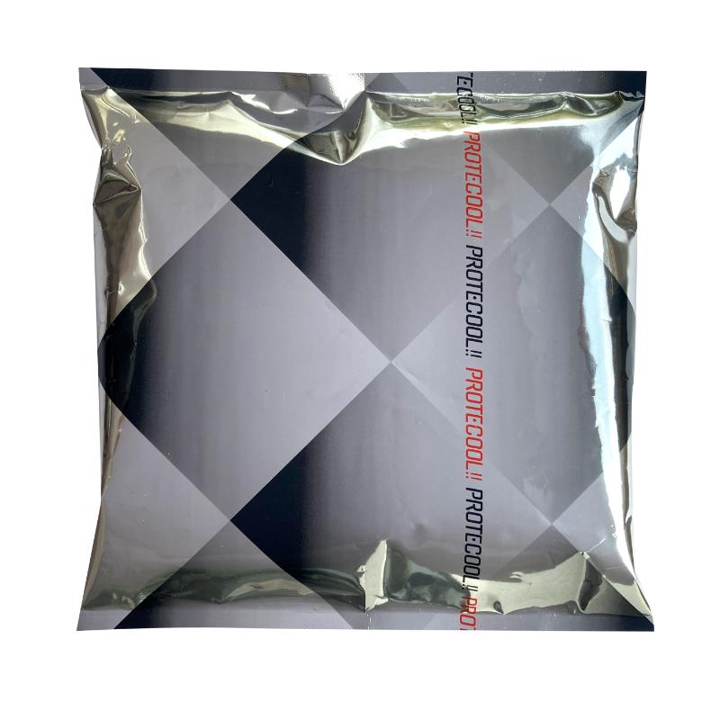 【40点】保冷剤 プロテクール！！ -5℃ 300g 三重化学工業 00830699