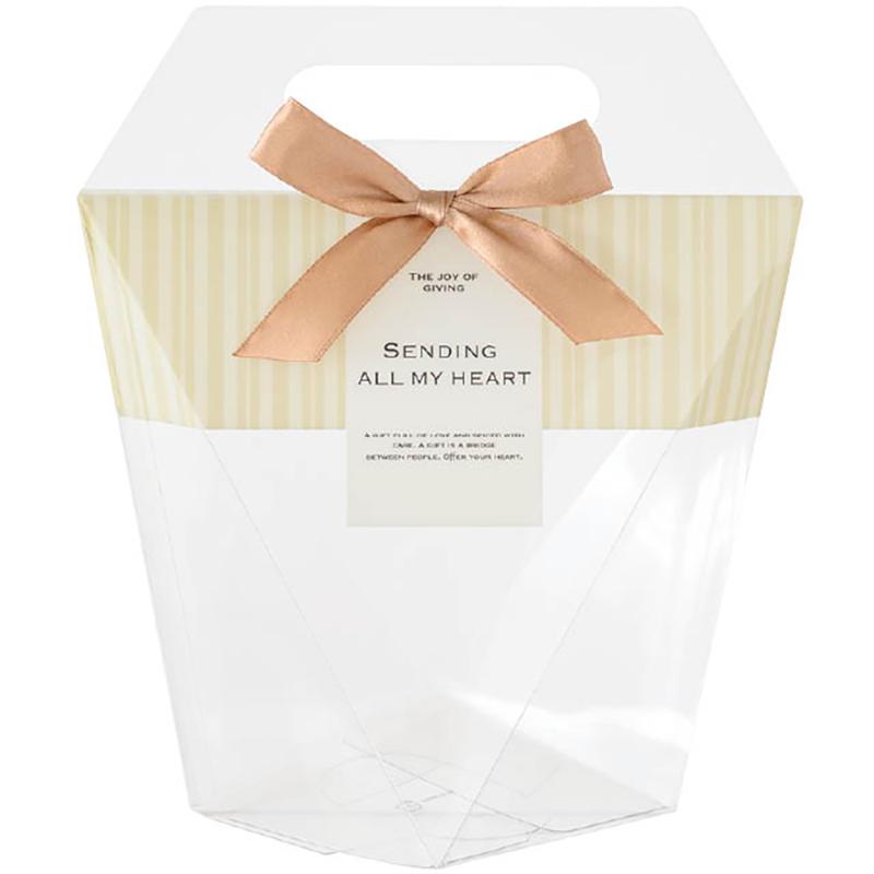 ��1���ۥ��ե�Ȣ SLS-HPB1 ��������å��她�ȥ饤�ץϥ�ɥ�PET���ꥢBOX-1(10��) �إå� 00829500