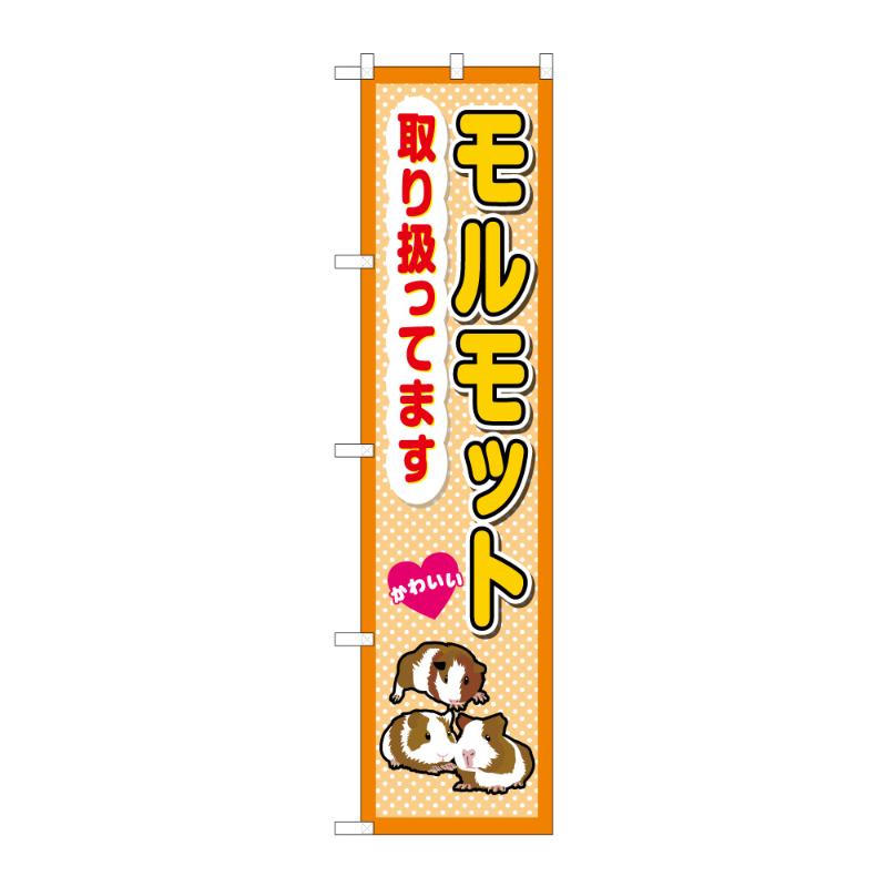 樂天商城 - 【1点】のぼり [N] スマートのぼり モルモット取り扱ってます 59131 P・O・Pプロダクツ 00839118