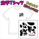 【送料無料（メール便）】空手柄Tシャツ/空手に適した熟語（表紙は参考例/一戦必勝）を特徴のある書体でプリントした「Tシャツ」です。色々なアレンジも可能。受注生産のため、御注文後、発送まで1週間前後かかります