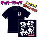 【送料無料（メール便）】サッカー用Tシャツ/サッカーに適した熟語（表紙は参考例/銀鱗躍動）を特徴のある書体でプリントした「Tシャツ..