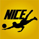【送料無料(メール便)】ナイス!! (NICE)Tシャツ レシーブ編!思わず応援したくなるTシャツです(笑) /ちょっぴりおちゃめでほっこり&ほんわかする「Tシ...