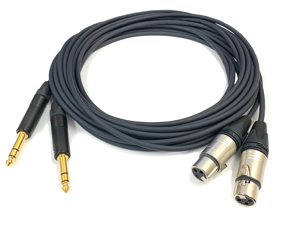 NEUMANN Υޥ ֥Ĺ1.0mܿ2ܡ¦ץ饰XLR᥹ڸ¦ץ饰TRSե