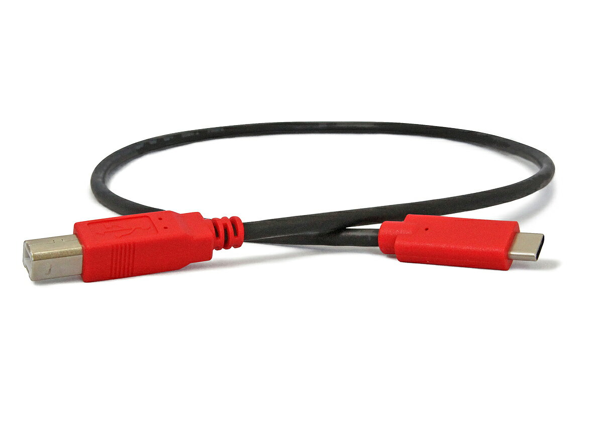 unibrain(ユニブレイン)USB2.0変換ケーブルType-C to Type-B【長さ】30cm procable-shop-10006501 プロケーブル 楽天市場店 サンプル画像3