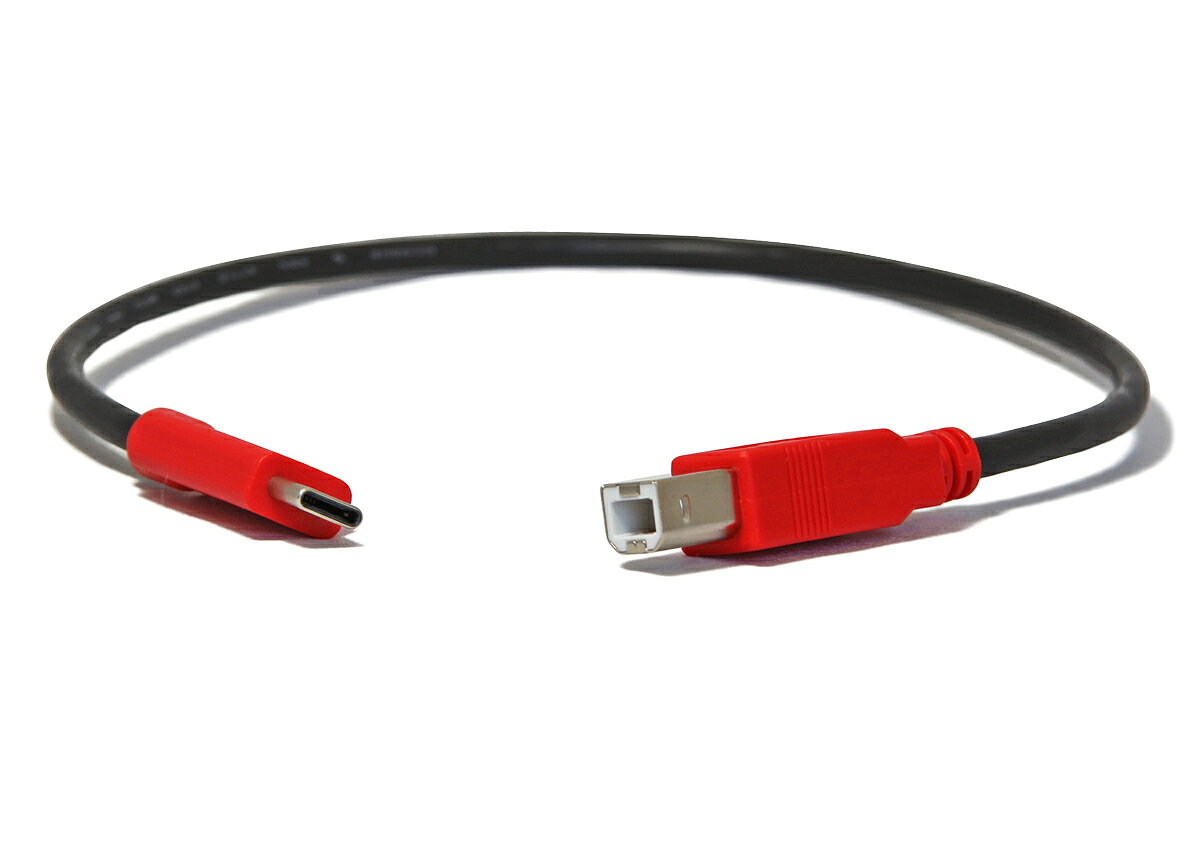 unibrain(ユニブレイン)USB2.0変換ケーブルType-C to Type-B【長さ】30cm procable-shop-10006501 プロケーブル 楽天市場店 サンプル画像2