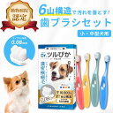 犬健ラボ 犬 歯ブラシ 小型犬 中型犬 抗菌素材 ふわふわ 痛くない 犬用 4本セット