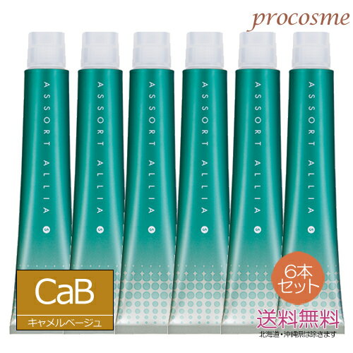 【6本セット】デミ アソート アリア S キャメルベージュ 8/7CaB 1剤 80g×6本 【6本セット】デミ アソート アリア S キャメルベージュ 8/7CaB 1剤 80g×6本