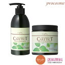 【セット】ナプラ ケアテクトHB カラーシャンプーS 300ml+トリートメントS 250g|しっとりタイプ