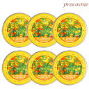 【6個セット】ナプラ ケアテクトHB グロスメイク 50g×6個