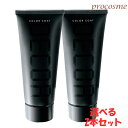 【選べる2個セット】イリヤ カラーコートデコレ 全27色 160g×2|ヘアマニキュア 業務用 ヘアカラー サロン専売 プロ用