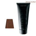 イリヤ カラーコートデコレ D-L2 ライトマロンブラウン 160g|ヘアマニキュア 業務用 ヘアカラー サロン専売 プロ用