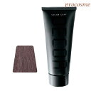 イリヤ カラーコートデコレ D-HL4 ハイライトアッシュブラウン 160g|ヘアマニキュア 業務用 ヘアカラー サロン専売 プロ用