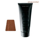 イリヤ カラーコートデコレ D-HL2 ハイライトマロンブラウン 160g|ヘアマニキュア 業務用 ヘアカラー サロン専売 プロ用