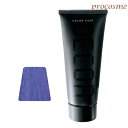 イリヤ カラーコートデコレ D-5 ライトパープル 160g|ヘアマニキュア 業務用 ヘアカラー サロン専売 プロ用