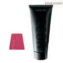 イリヤ カラーコートデコレ D-10 ライトボルドー 160g|ヘアマニキュア 業務用 ヘアカラー サロン専売 プロ用
