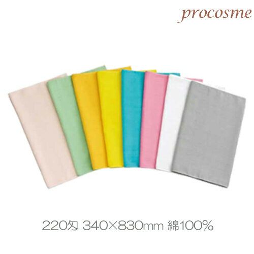 ホテルタイプ プレミアム高吸水 バスタオル2P L8040040