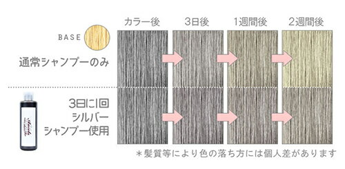 エンシェールズ カラーシャンプー シルバーシャンプー 200ml