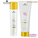 【セット】シュワルツコフ BCクア カラーセーブ シャンプー 250ml+トリートメント 250g(4)