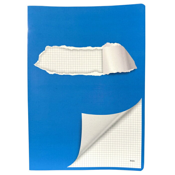 ELCO(륳) Office ؽĢ 4mmΡ A4 80g m2 24 73051-375ĤޤǤϥ᡼ȯǽۡ...