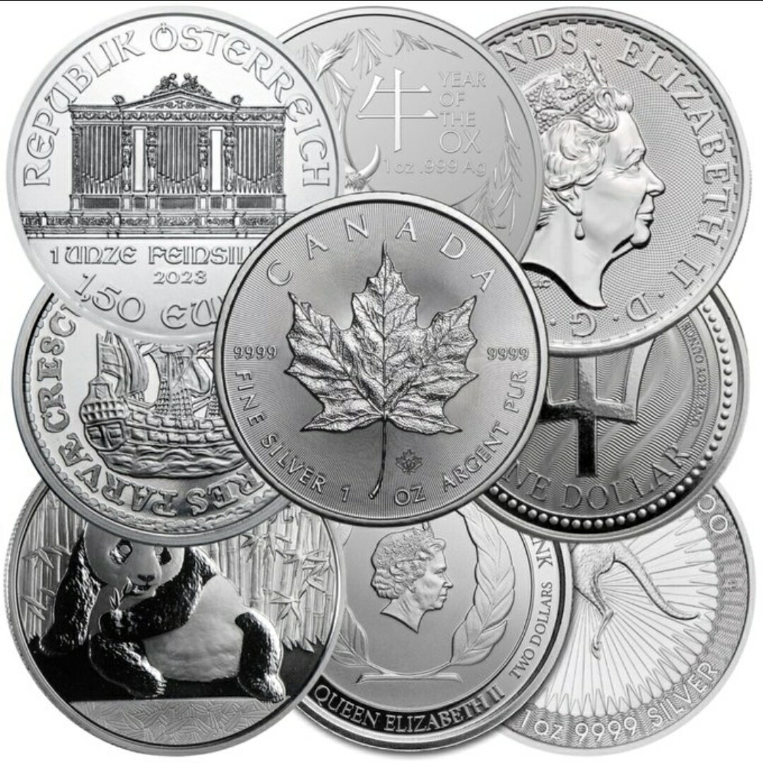 【 訳あり 】 純銀コイン 「ランダムブランド」1オンス 純銀 銀貨 銀1オンス 品位99.9％ 31.1g 銀コイン 銀 記念コイン シルバー コインカプセル...