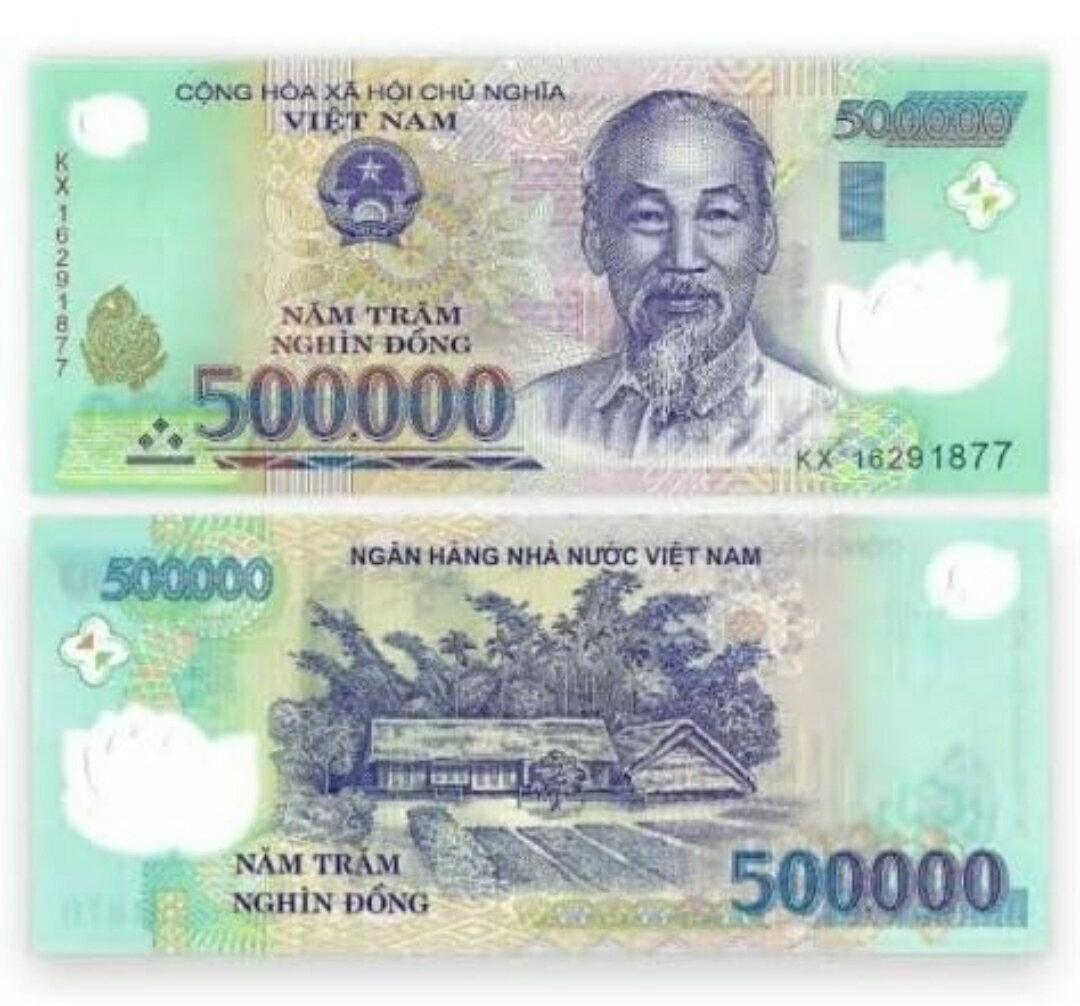 【保証書付き 未使用 ピン札】ベトナム ドン 50万ドン 1枚 ベトナム ドン 紙幣 ベトナム紙幣 外貨 本物紙幣の保証