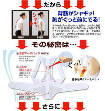 【ポイント10倍】【クーポンあり】【送料無料】【あす楽】姿勢矯正ベルト 猫背 ぐいっと背筋ベルト