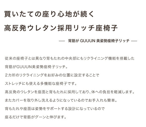 座椅子 姿勢 背筋 チェア 背筋がGUUUN美姿勢座椅子リッチ 高反発 ウレタン リクライニング 腰にフィット 洗濯可 リラックス 【クーポンあり】【送料無料】【あす楽】 [2]