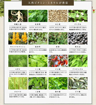 【ポイント10倍】【クーポンあり】【あす楽】健康茶 ハーブティ ダイエット 五葉茶 ロイヤルビューティー30包