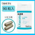 ワカサプリ 乳酸菌 90粒入り