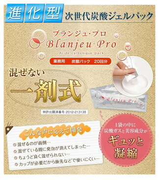 【クーポンあり】【送料無料】【あす楽】炭酸 パック ナノキューブ 業務用炭酸パック ブランジュ・プロ 20回分 10g×20包入(パフ・スパチュラ・トレー皿付き)