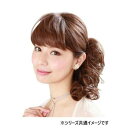 プリシラ 総手植前髪ウィッグ フルバング FX-100 耐熱 TMB・マロンブラウン 自毛の前髪の上に着ける部分ウィッグです。【送料無料】【メール便対応】