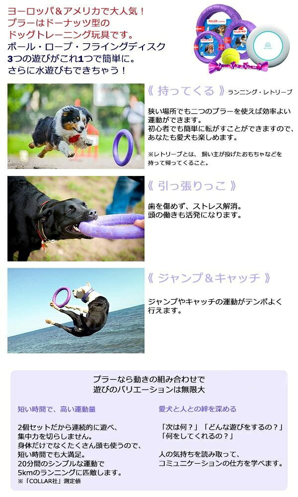���Ĥ����� �ɥå��ȥ졼�˥� �ڥå�Dear��Children �ɥå��ȥ졼�˥󥰴�� PULLER �ץ顼 Micro �˾� 2������ �� �֥꡼���� �ե饤�󥰥ǥ����� ���� �ȥ졼�˥� �ȥ졼�˥󥰴�� ���å� ������� �����סڤ����ڡ�