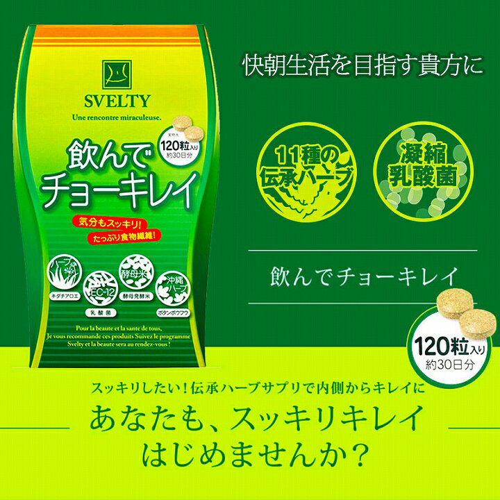 乳酸菌 サプリメント サプリスベルティ 飲んでチョーキレイ 120粒 ハーブ ダイエット 内臓脂肪 皮下脂肪 菌活 キダチアロエ お通じ 凝縮乳酸菌 酵母発酵米 便秘【あす楽】 profit-rk-13459391 プロフィット楽天市場店 サンプル画像2