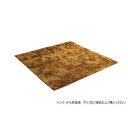 ラグ 制菌加工 約2畳 約185×185cm ホットカーペット対応 オレンジ 3985149 お部屋にアクセントをプラス【送料無料】